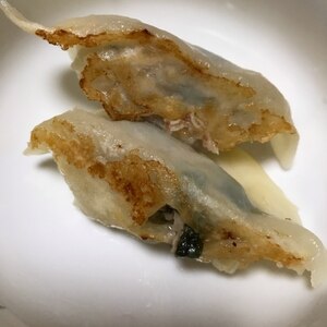 餃子♪餃子作りから冷凍保存方法まで